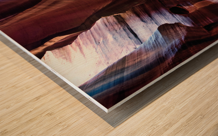 antelope05 Wood print