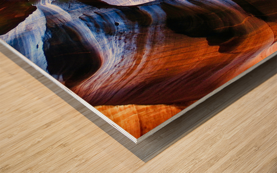 antelope23 Wood print