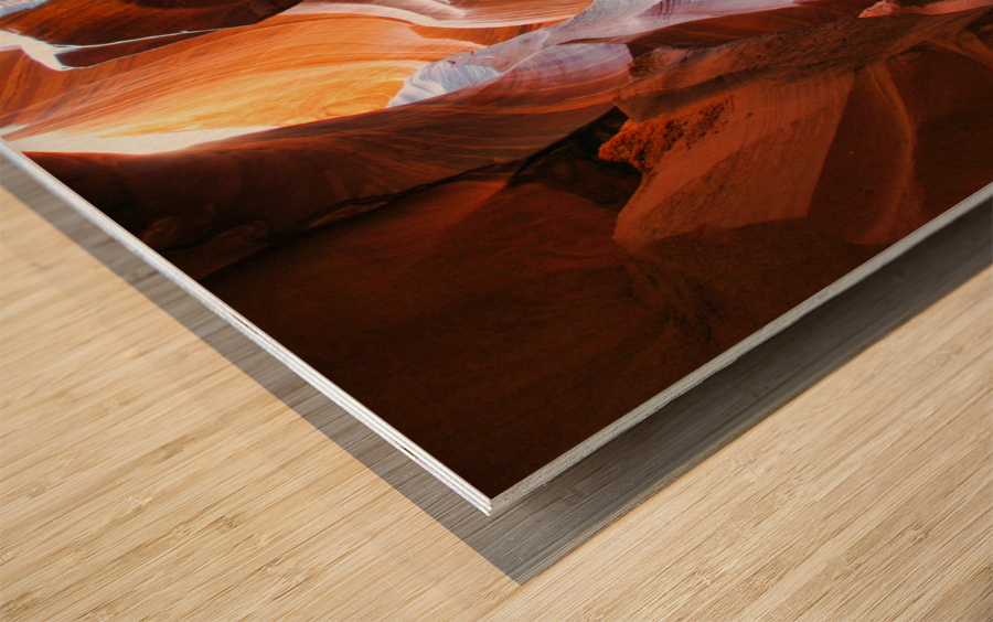 antelope16 Wood print