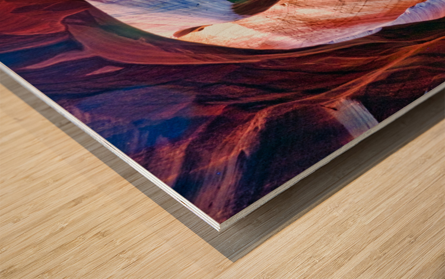 antelope20 Wood print