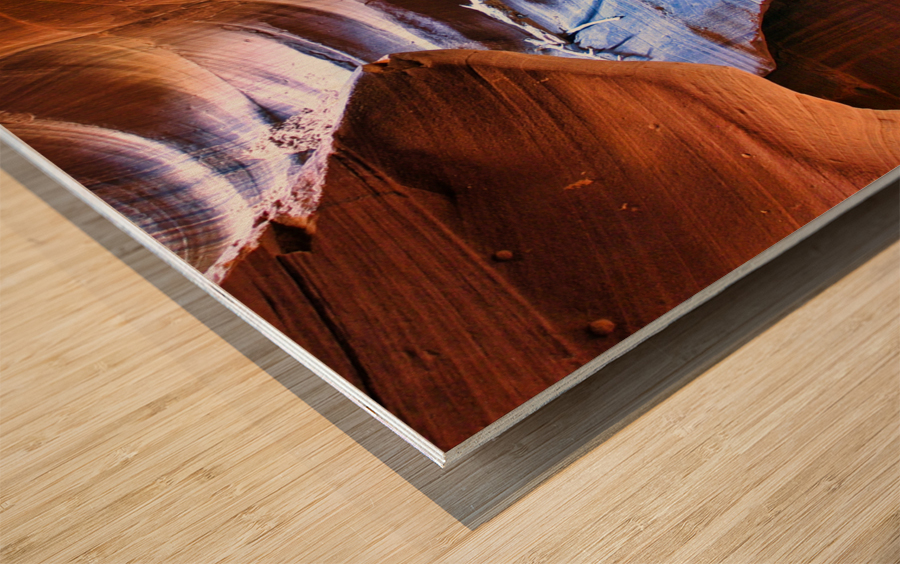 antelope18 Impression sur bois