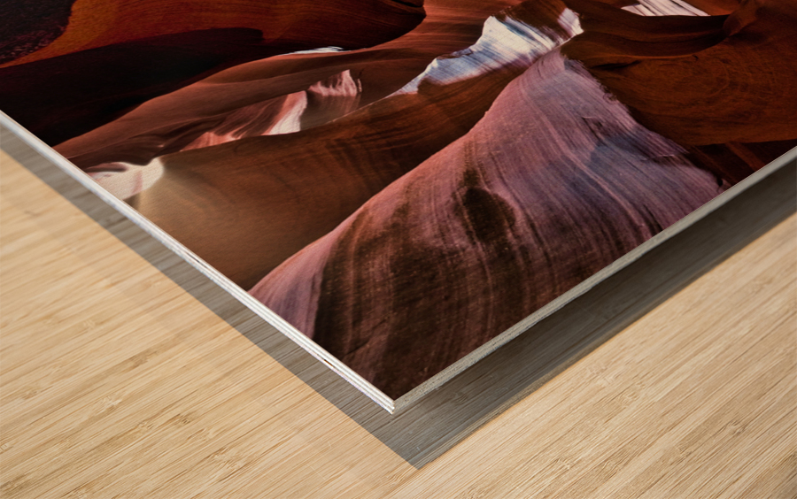 antelope10 Wood print