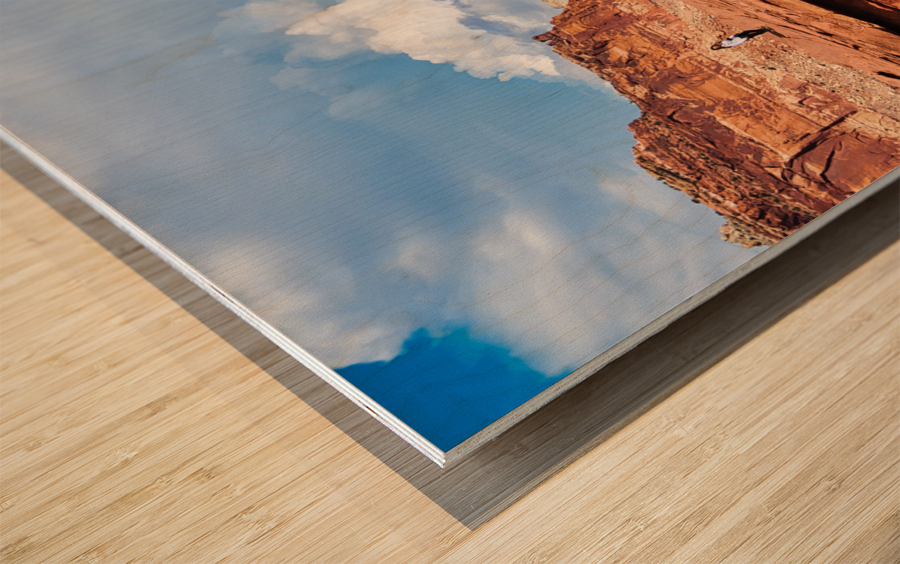 capreef38 Wood print