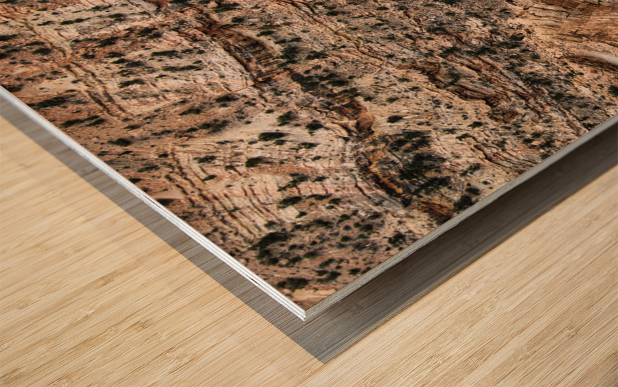 capreef48 Wood print