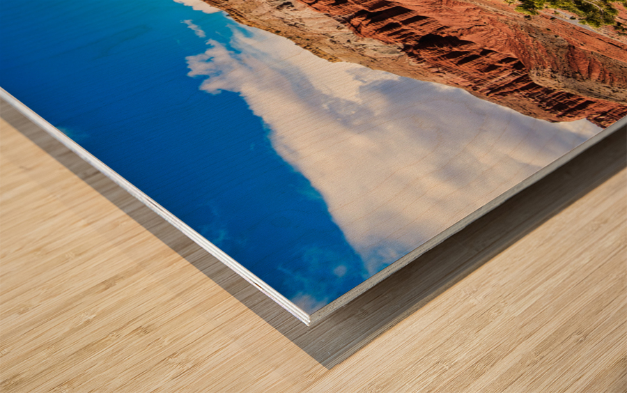 capreef46 Impression sur bois