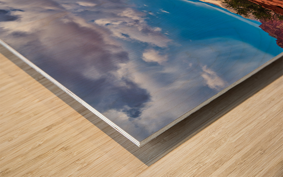 capreef51 Wood print