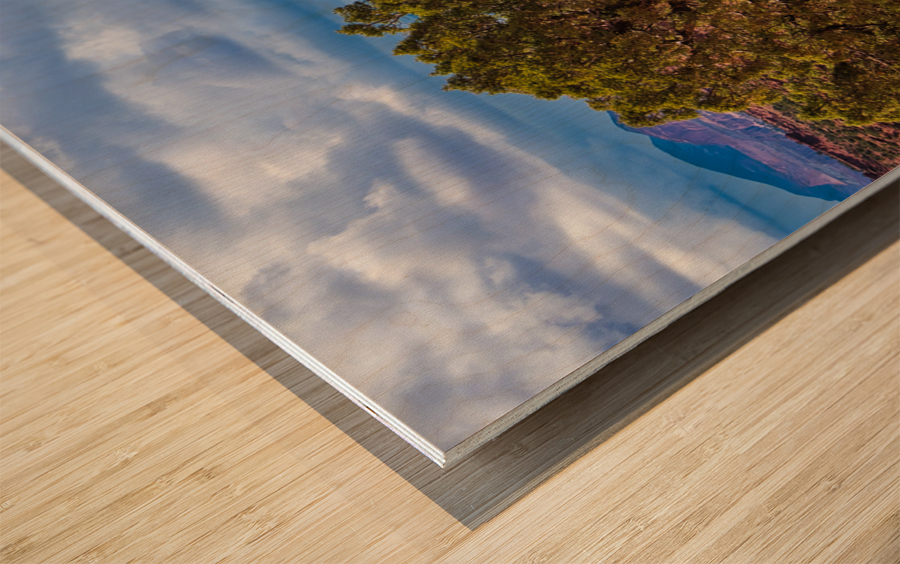 capreef39 Impression sur bois