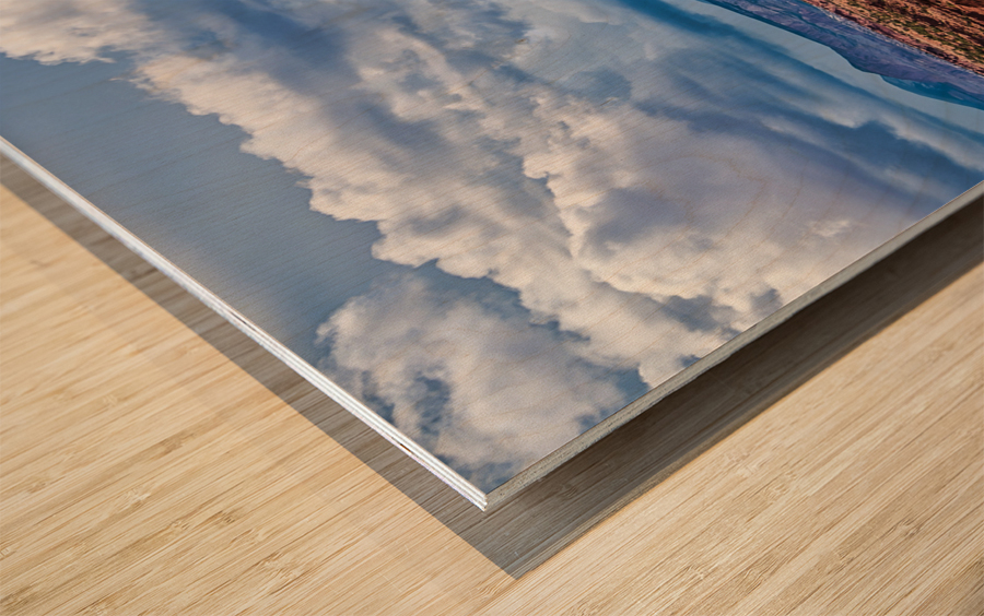 capreef43 Wood print