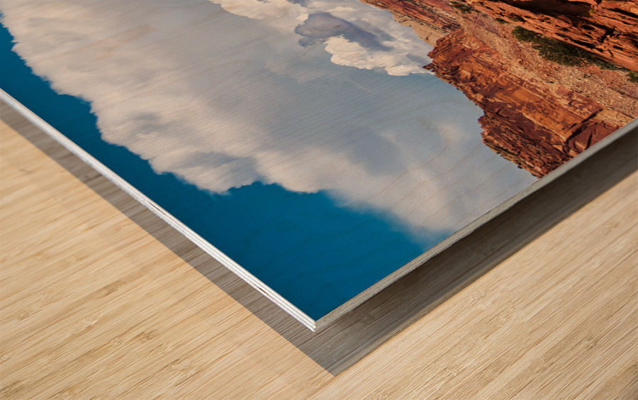 capreef31 Wood print