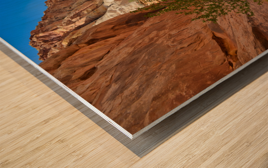 Grand Wash Wood print