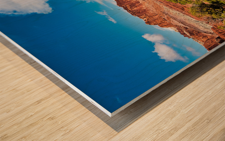 capreef47 Wood print