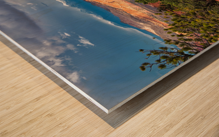 capreef53 Wood print