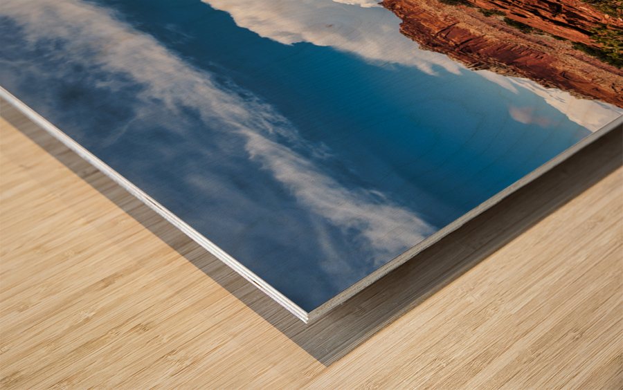 capreef32 Wood print