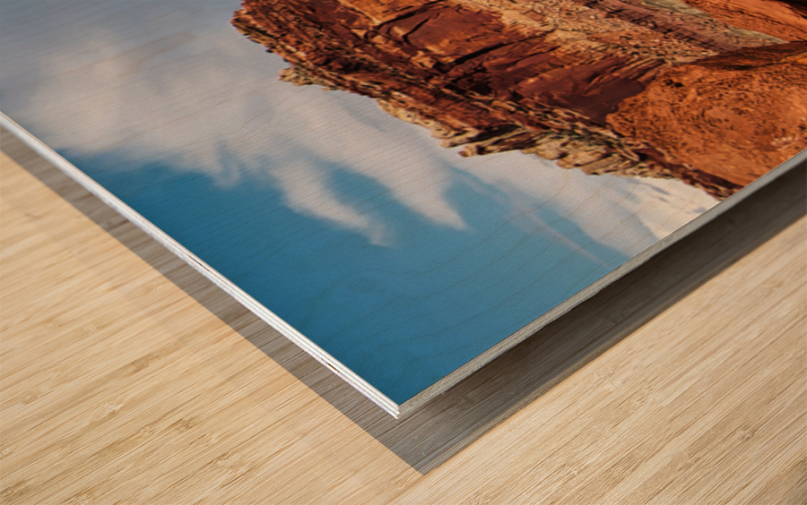 capreef36  Wood print