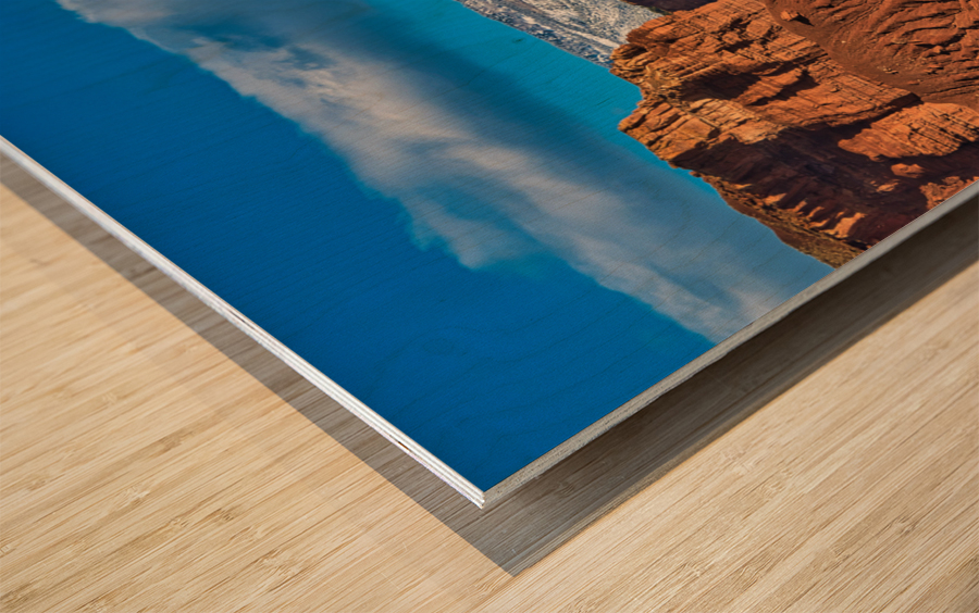 capreef54 Wood print