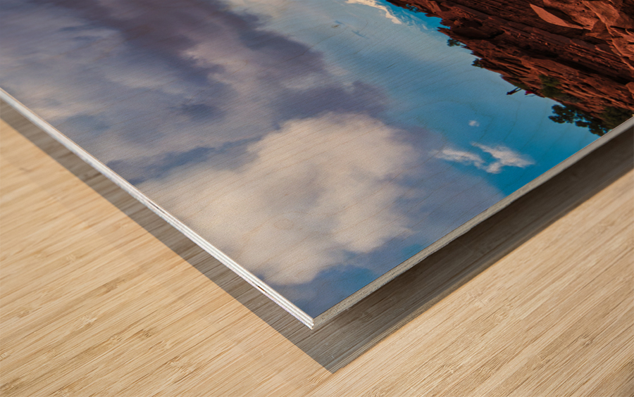 capreef49 Wood print