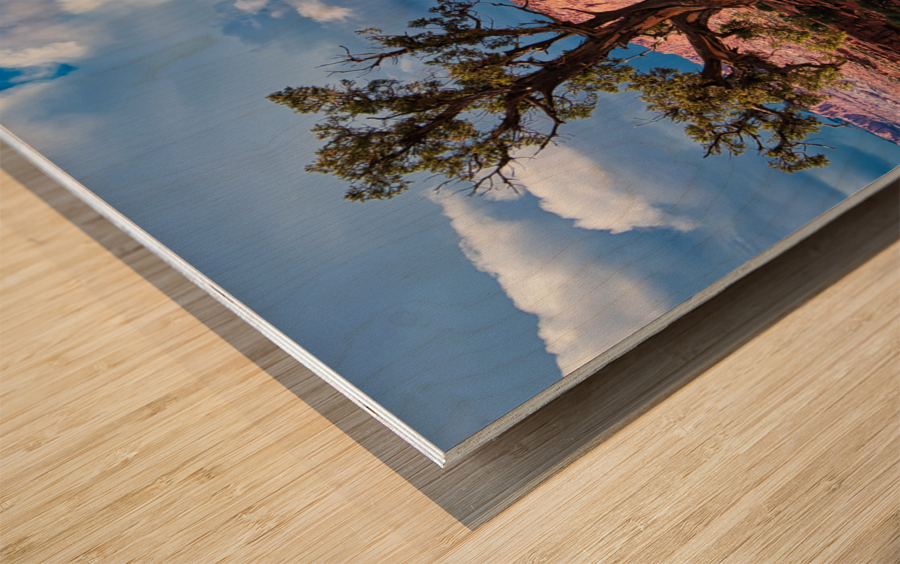 capreef42 Wood print