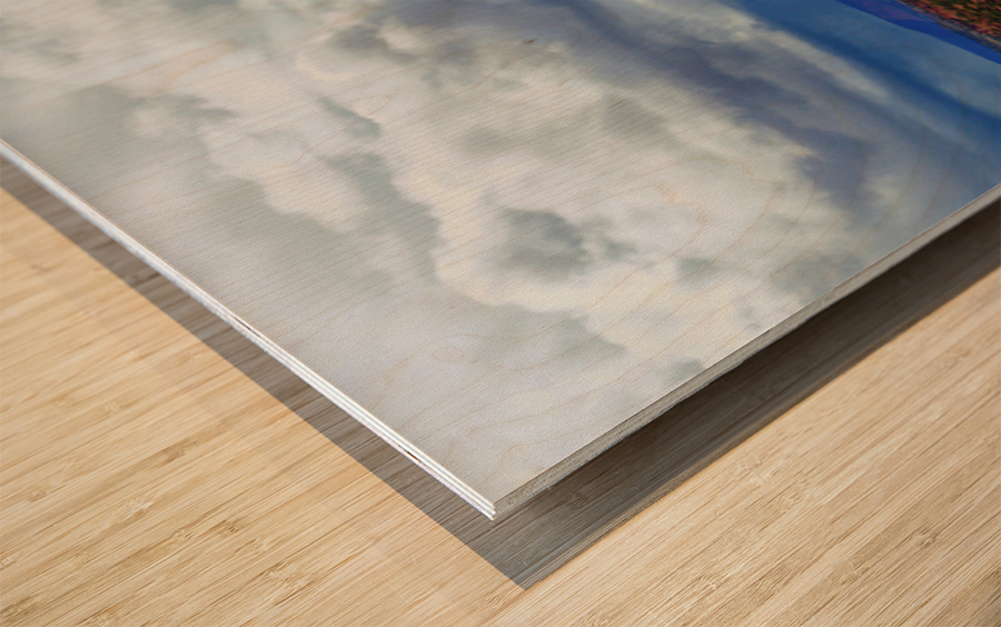 capreef40  Wood print