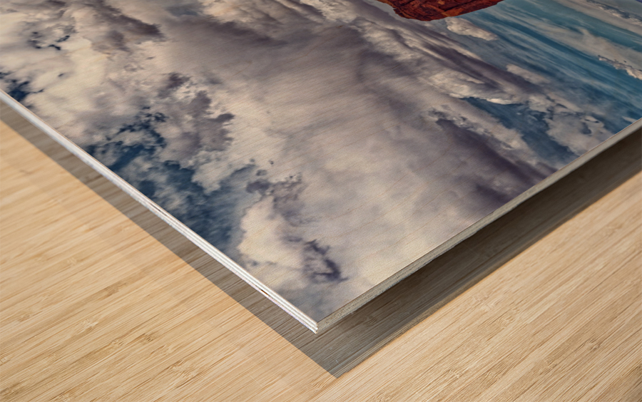 Monument2 Wood print