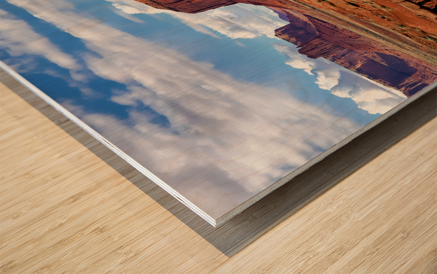 Monument11 Wood print