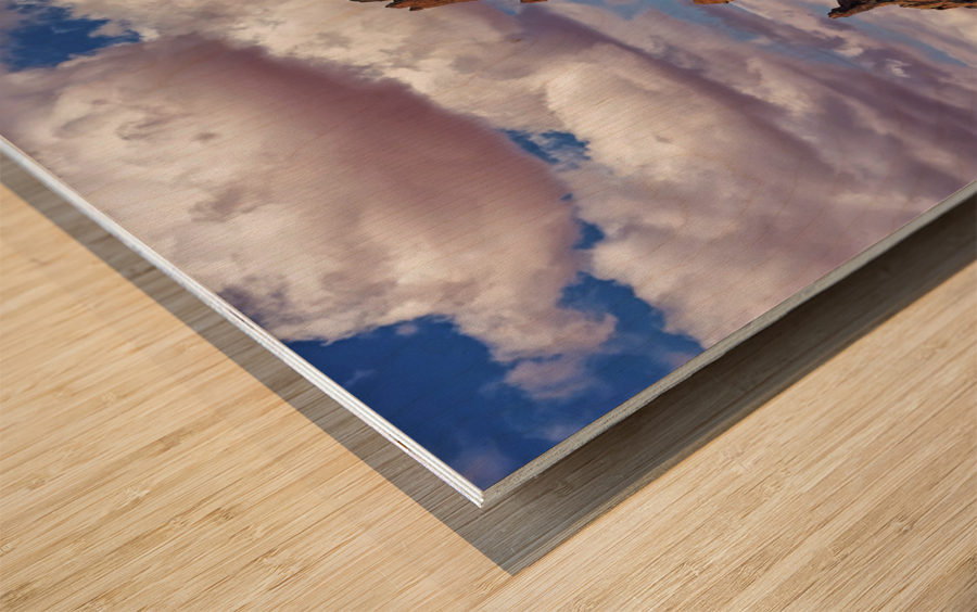 El Capitan 2 Wood print