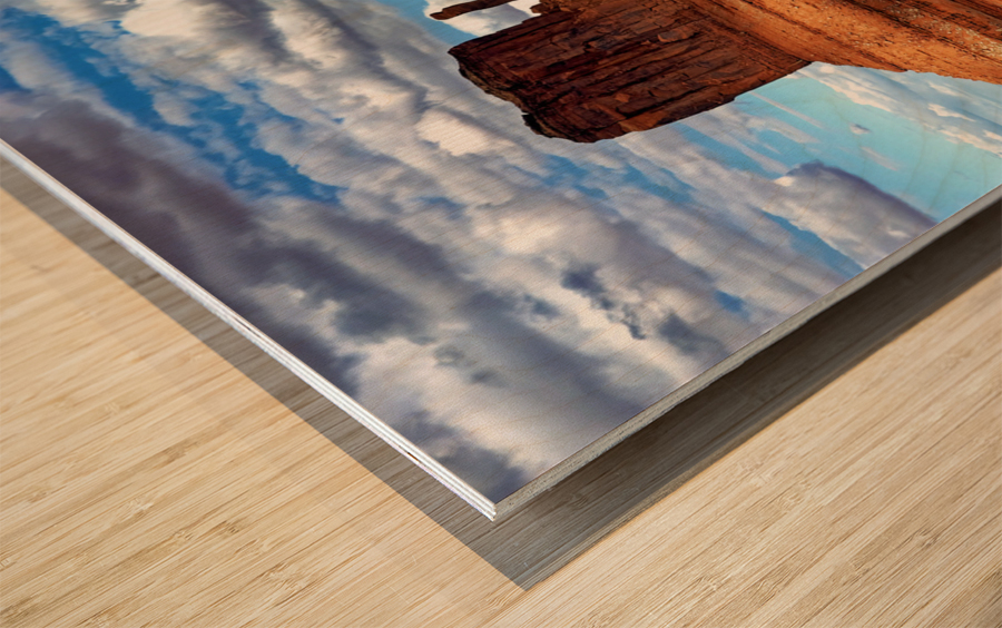 Monument10 Wood print