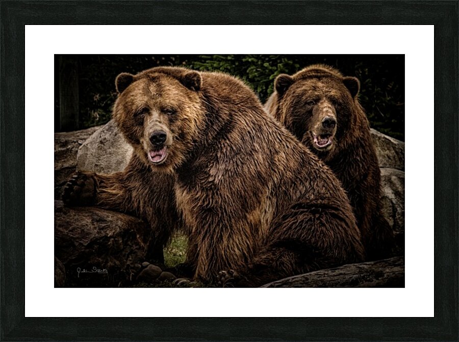Brown Bear Brothers Picture Frame print