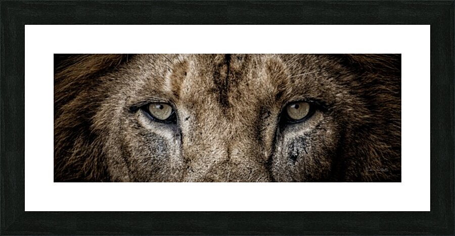 Guess Who Picture Frame print