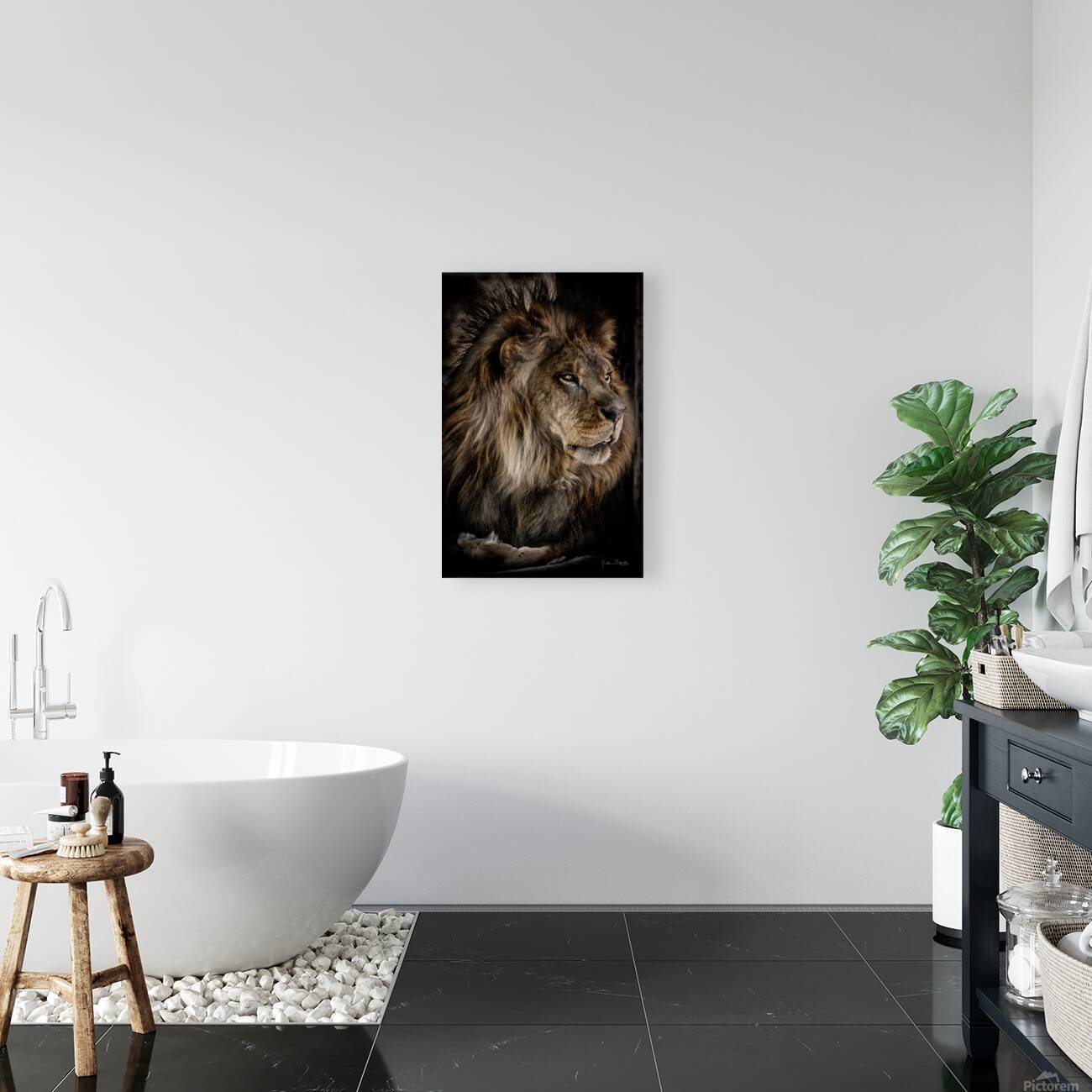 A Lions Profile Reproduction