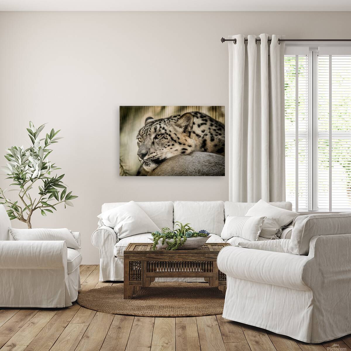 Snow Leopard Reproduction