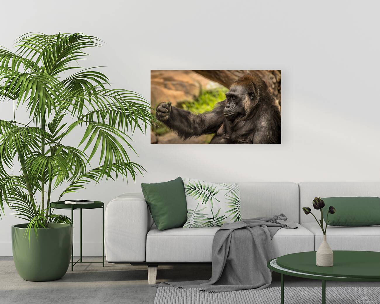 Quiet Gorilla Sleeping Reproduction