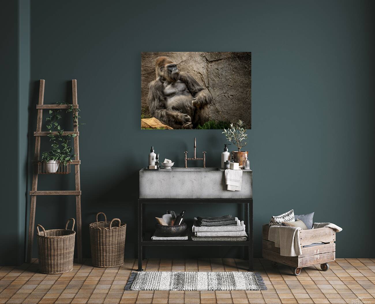 Big Daddy Silverback Gorilla Reproduction
