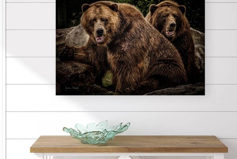 Brown Bear Brothers by Julian Starks Photography