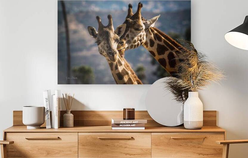Loving Giraffes by Julian Starks Photography