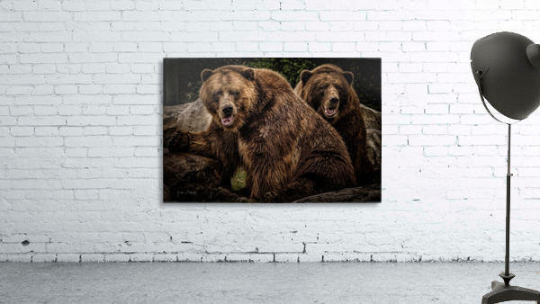Brown Bear Brothers Wall Preview