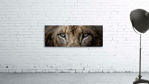 Guess Who Wall Preview