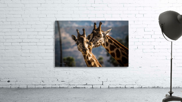 Loving Giraffes Wall Preview