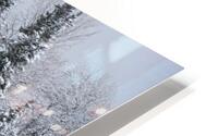 A Winter Dream II HD Metal print