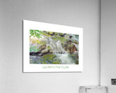 Waterfall Go With Flow Acrylic Print