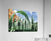 Cornfield  Acrylic Print