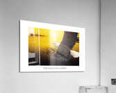EAGLE HAS LANDED  Acrylic Print