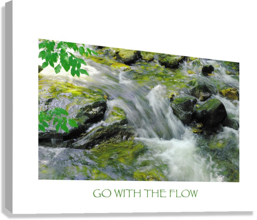 Waterfall Go With Flow Canvas Print