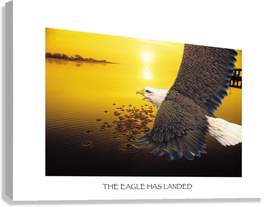 EAGLE HAS LANDED  Canvas Print
