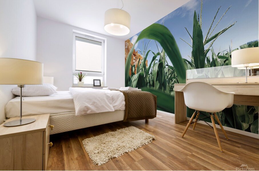 Cornfield  Mural print