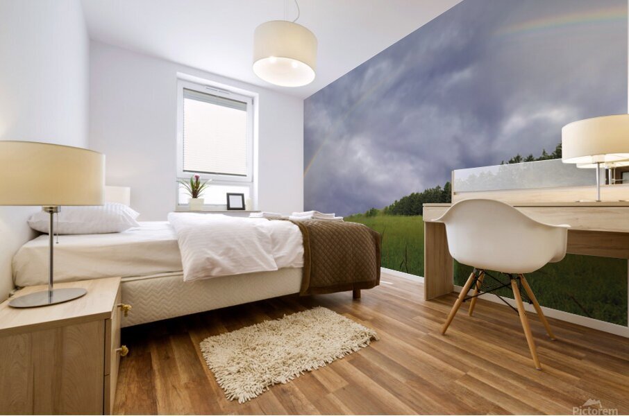 Rainbow Mural print