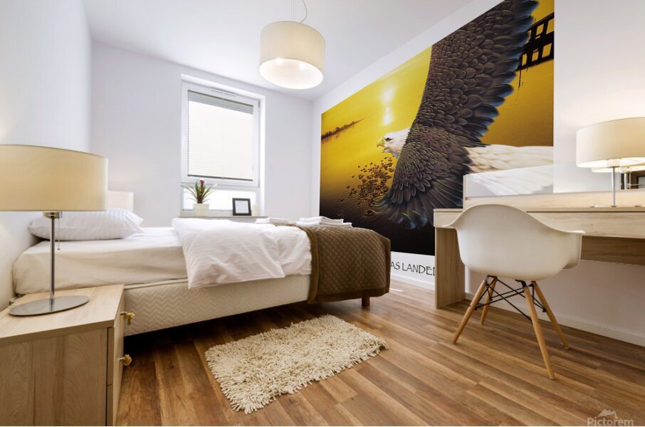 EAGLE HAS LANDED  Mural print