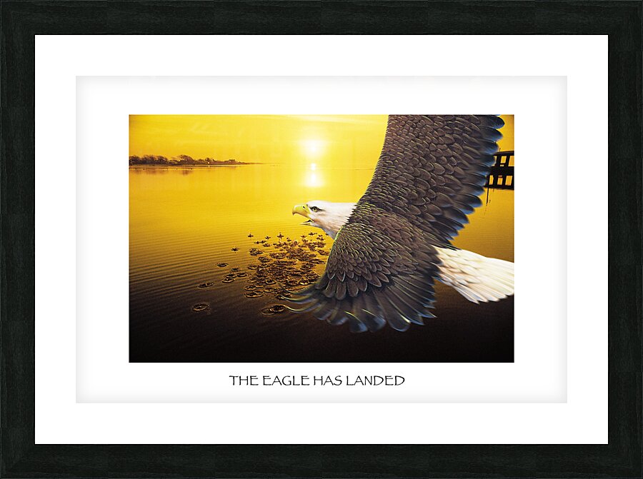 EAGLE HAS LANDED  Picture Frame print