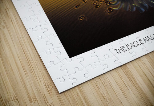 EAGLE HAS LANDED  Joseph LaPlaca puzzle