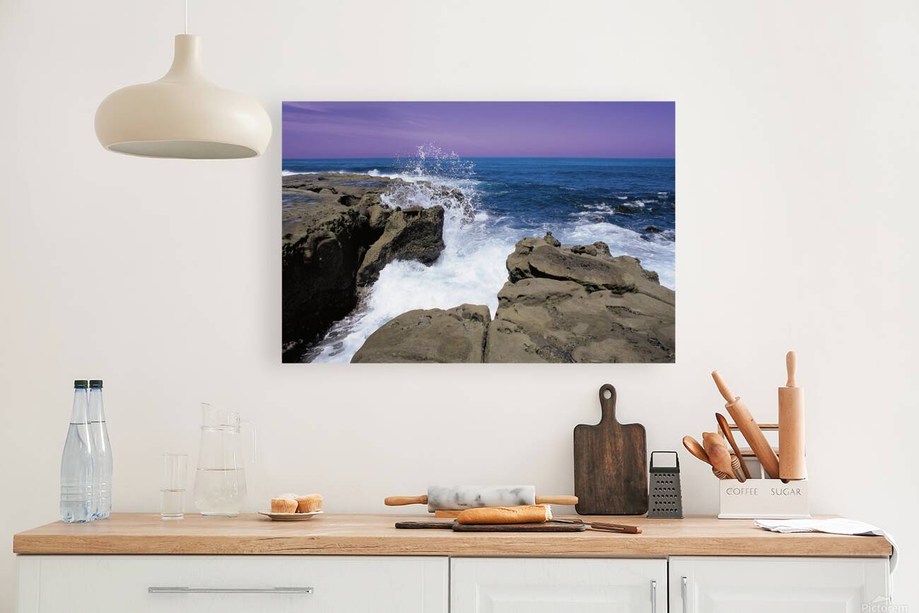 La jolla  Reproduction