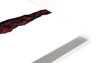 Red wine  HD Metal print